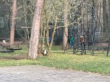 Foto 02-04-2022 08 25 15